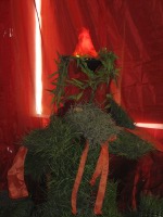 Click to popup fullsize image