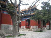 Click to popup fullsize image