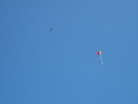 Click to popup fullsize image