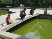 Click to popup fullsize image