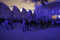 Click to popup fullsize image