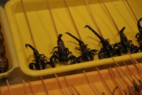 Click to popup fullsize image