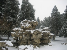 Click to popup fullsize image