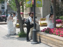 Click to popup fullsize image