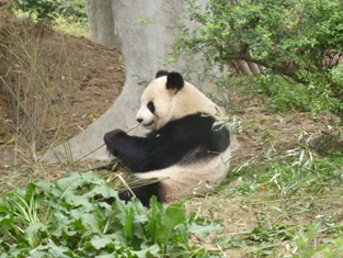 Click to popup fullsize image