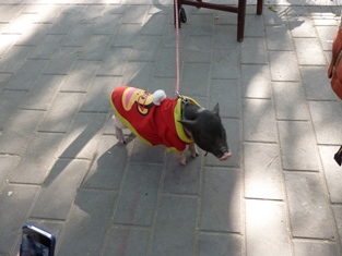 Click to popup fullsize image