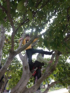 Click to popup fullsize image