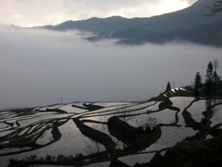 Click to popup fullsize image