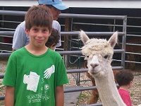 Click to popup fullsize image