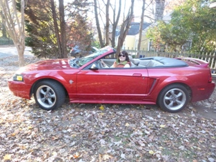 Click to popup fullsize image