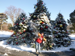 Click to popup fullsize image