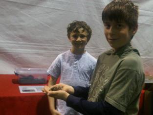 Click to popup fullsize image