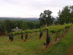 Click to popup fullsize image