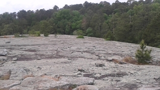 Click to popup fullsize image