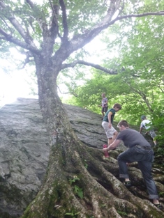 Click to popup fullsize image