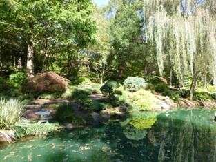 Click to popup fullsize image