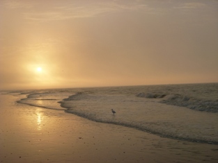 Click to popup fullsize image